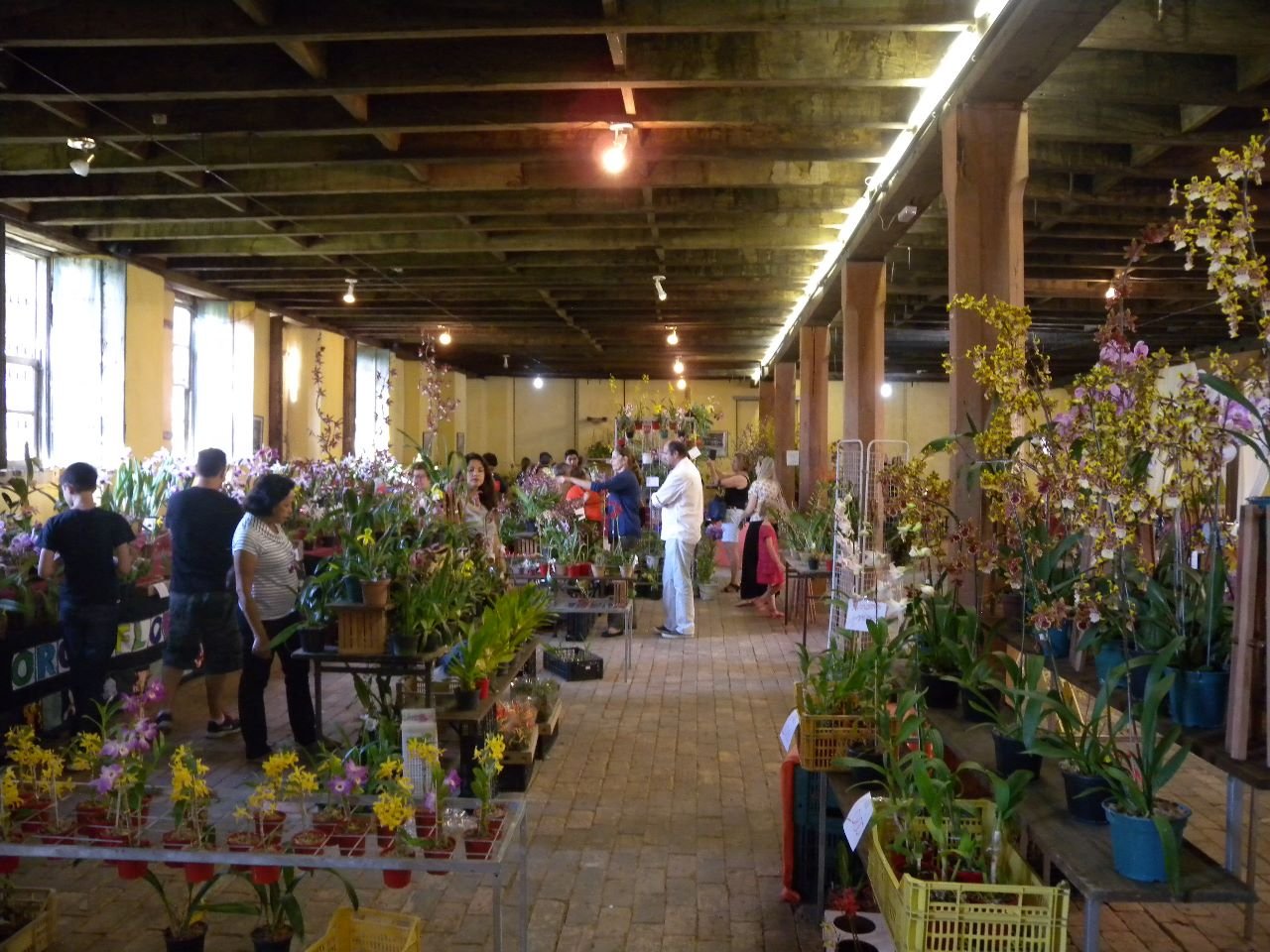Itu recebe 20ª Feira de Orquídeas e Exposição de Presépios no Centro Histórico