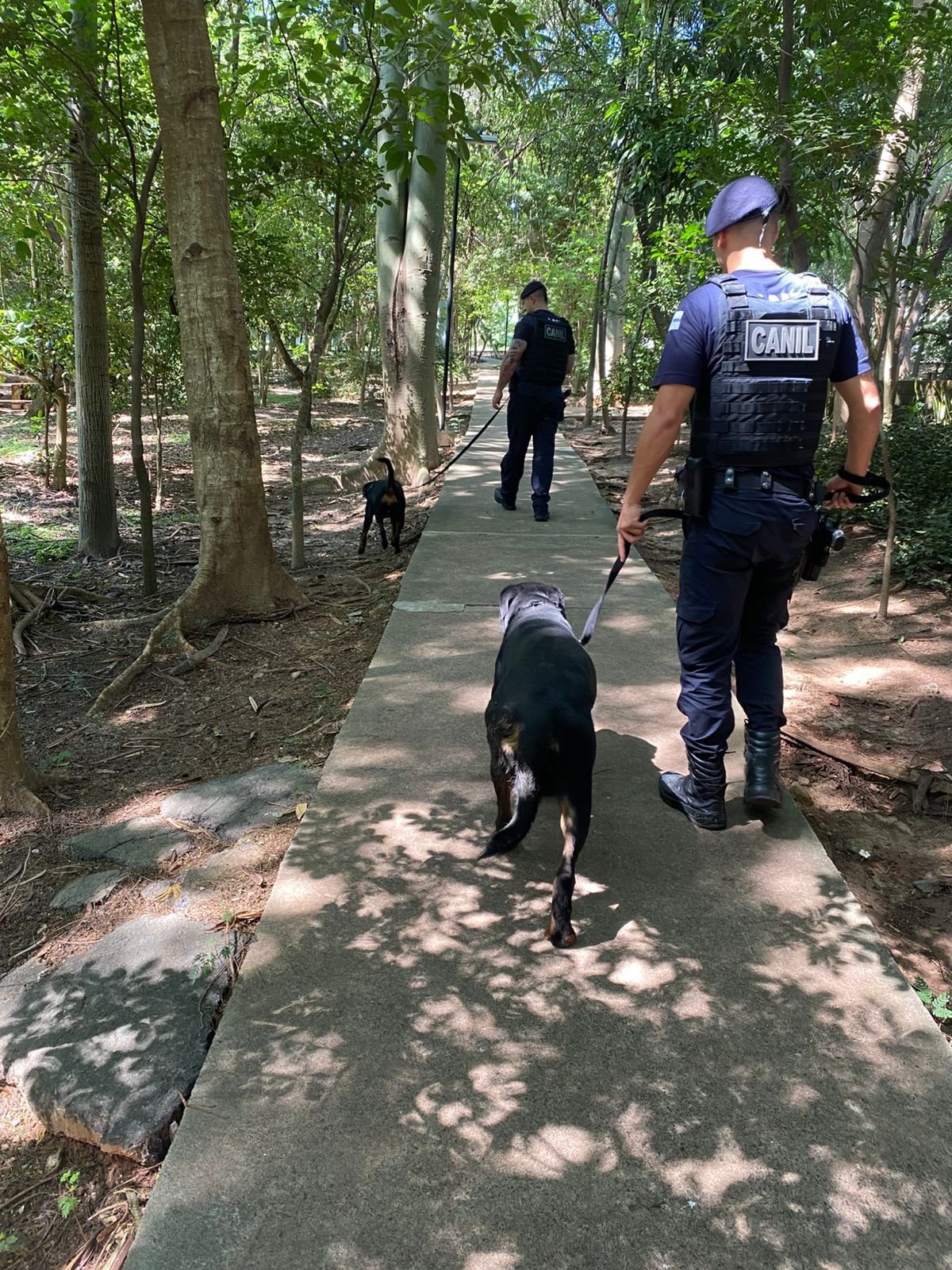 Canil da GCM de Itu recebe novos “recrutas”