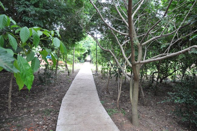 Parque Ecológico do Taboão passa por revitalização