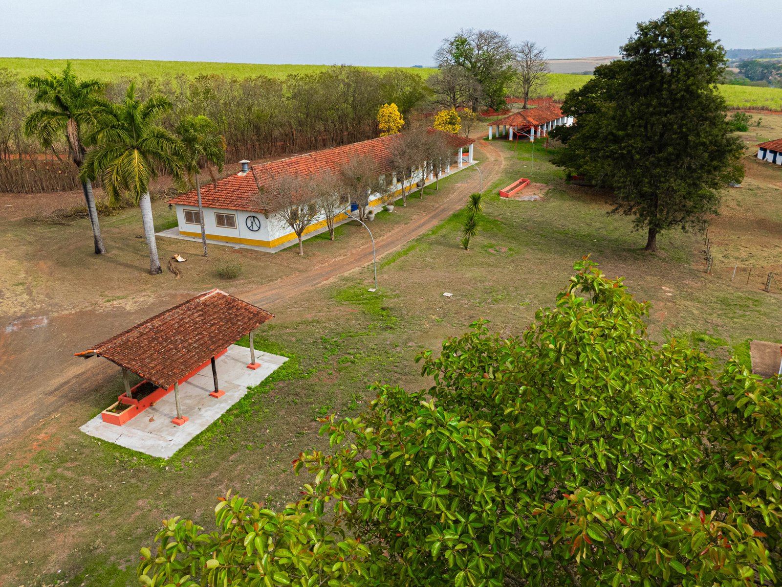 Fazenda Borba em Capivari recebe a 1ª edição do “Café Rural”