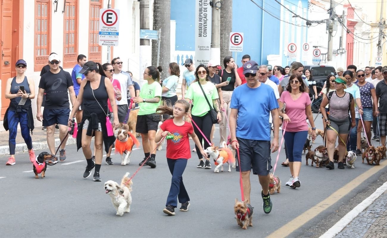 14ª Cãominhada de Itu acontece neste domingo com atividades para pets e famílias